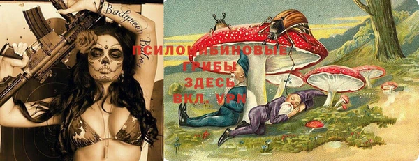метадон Щучье
