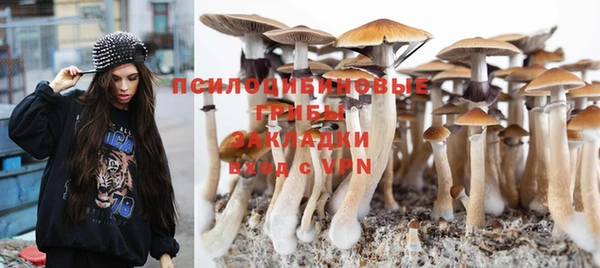 герыч Зеленодольск