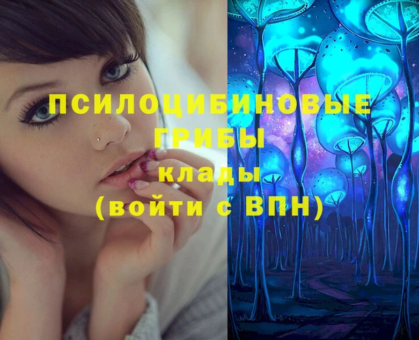 мдпв Зерноград