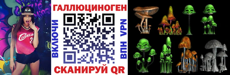 магазин продажи   Чапаевск  Псилоцибиновые грибы Cubensis 