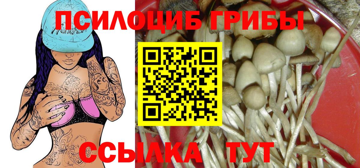 Галлюциногенные грибы GOLDEN TEACHER Чапаевск